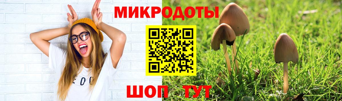 Псилоцибиновые грибы Cubensis Красный Сулин